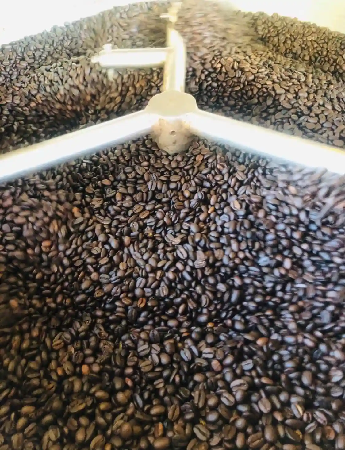 Granos de café pluma en costal listo para enviar