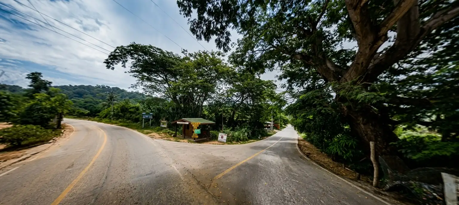 Paseo en lancha por la laguna de Ventanilla en Oaxaca, con manglares y aves